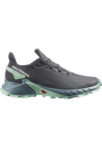 salomon - Buty turystyczne damskie Salomon Alphacross 4 Gtx. Kolor: szary