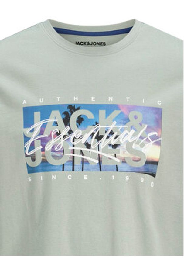 Jack & Jones T-Shirt Colton 12268438 Zielony Standard Fit. Kolor: zielony. Materiał: bawełna