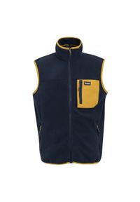 Regatta - Męska Kamizelka Polarowa Frankie. Kolor: żółty, pomarańczowy, niebieski, wielokolorowy. Materiał: polar. Styl: sportowy. Sport: turystyka piesza #1