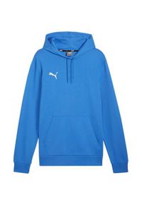 Bluza sportowa męska Puma B23607. Typ kołnierza: kaptur. Kolor: wielokolorowy, niebieski