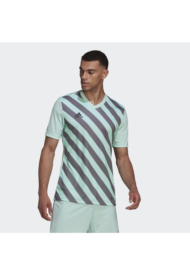 Adidas - Jersey adidas Entrada 22 Graphic. Kolor: szary, wielokolorowy, zielony. Materiał: jersey. Sezon: lato. Sport: piłka nożna
