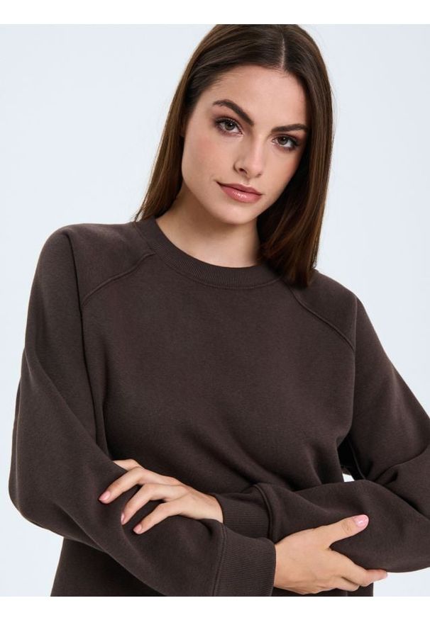 Sinsay - Bluza crewneck - brązowy. Kolor: brązowy