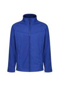 Regatta - Bluza Polarowa Męska Nieprzewiewna. Kolor: szary, niebieski, wielokolorowy. Materiał: polar. Sport: turystyka piesza #1