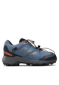 Adidas - Trekkingi adidas. Kolor: niebieski. Technologia: Gore-Tex. Model: Adidas Terrex. Sport: turystyka piesza