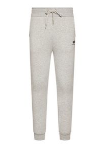 Alpha Industries Spodnie dresowe Basic Jogger 116370 Szary Slim Fit. Kolor: szary. Materiał: bawełna