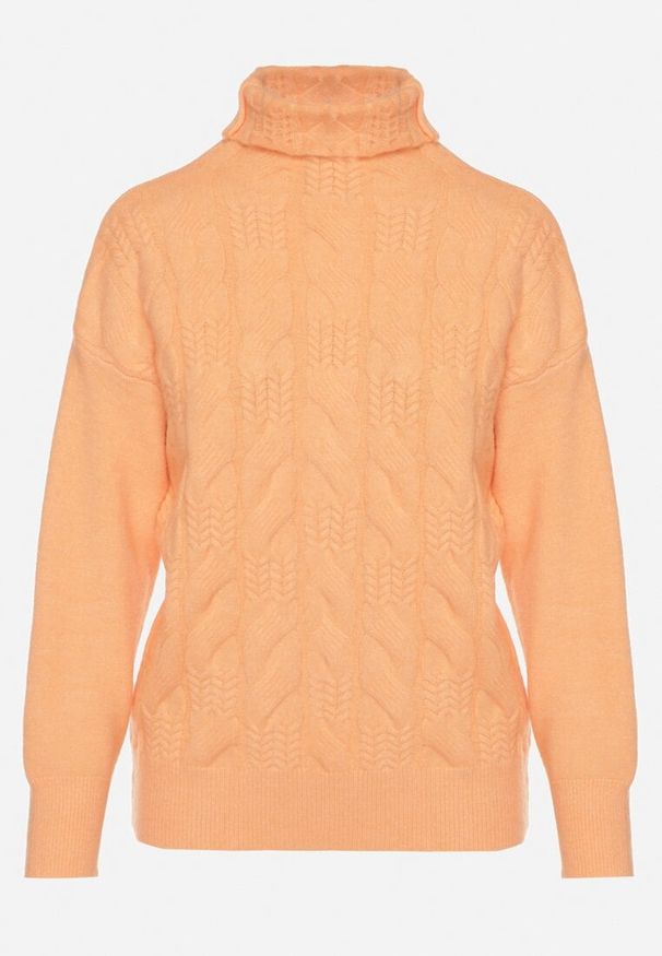 Born2be - Pomarańczowy Klasyczny Golf Ozdobiony Tłoczeniem Dainaria. Okazja: na co dzień. Typ kołnierza: golf. Kolor: pomarańczowy. Materiał: jeans. Długość rękawa: długi rękaw. Długość: długie. Wzór: aplikacja. Styl: klasyczny