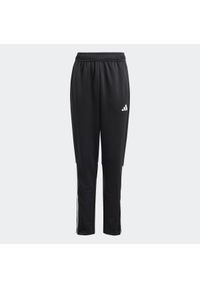 Adidas - Spodnie treningowe do piłki nożnej dla dzieci ADIDAS Sereno. Kolor: czarny, biały, wielokolorowy. Materiał: dresówka. Styl: klasyczny, sportowy