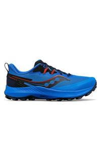 Buty do biegania męskie Saucony Peregrine 14. Kolor: niebieski. Materiał: materiał, syntetyk. Szerokość cholewki: normalna