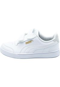 Buty Dziecko Puma Shuffle V Ps biały. Okazja: na co dzień. Kolor: biały. Sport: turystyka piesza #1