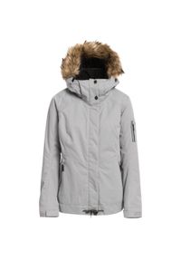 Kurtka narciarska damska Roxy Meade. Kolor: szary. Materiał: poliester. Sport: narciarstwo #1