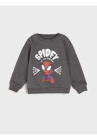 Sinsay - Bluza SPIDERMAN - szary. Kolor: szary. Długość: długie. Wzór: motyw z bajki