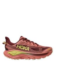 Buty do biegania damskie Hoka One One 1168717B. Kolor: wielokolorowy. Sport: bieganie