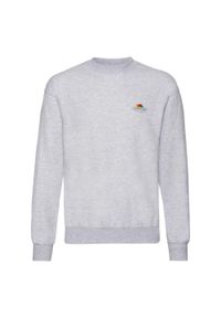 FRUIT OF THE LOOM - Męska Bluza Z Nadrukiem Logo W Stylu Vintage. Kolor: szary. Wzór: nadruk