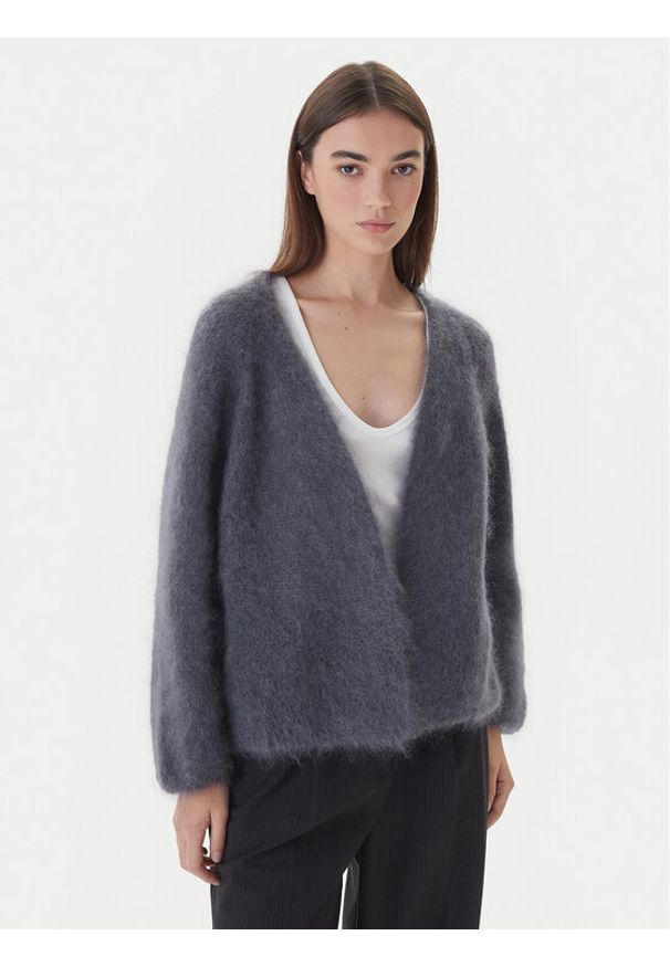 Dixie Kardigan M277Y072A 3906 Szary Regular Fit. Kolor: szary. Materiał: wełna