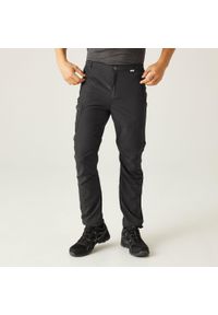 Regatta - Męskie spodnie trekkingowe Leesville II. Kolor: szary. Materiał: poliamid. Sezon: lato. Sport: turystyka piesza #1