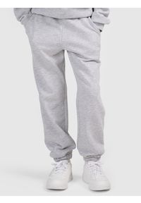 4f - 4F Spodnie dresowe joggery dziewczęce - szare 158 (12-13 lat). Okazja: na co dzień. Kolor: szary. Materiał: dresówka. Sezon: lato. Styl: casual #2