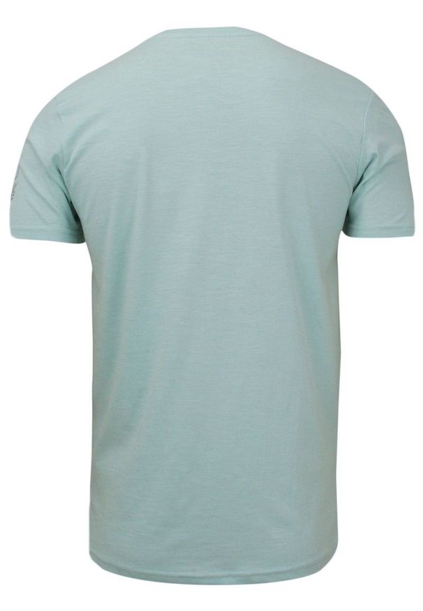 Męska, Zielona Koszulka (T-shirt) - Brave Soul - Hipis pod Palmą. Okazja: na co dzień. Kolor: zielony. Materiał: bawełna. Wzór: nadruk. Styl: casual