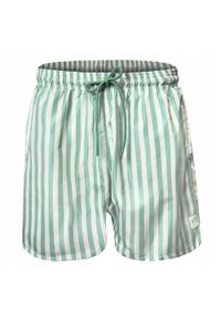 Męskie Spodenki Plażowe (Kąpielowe) - Pako Jeans - Jasnozielone w Prążek. Kolor: zielony. Materiał: poliester. Wzór: prążki #1