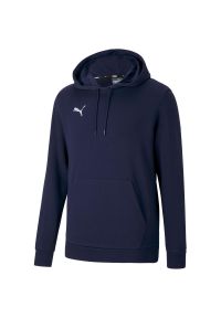 Bluza treningowa męska Puma teamGOAL 23 Causals Hoody. Kolor: niebieski, wielokolorowy, biały. Materiał: poliester, bawełna. Sport: fitness #1