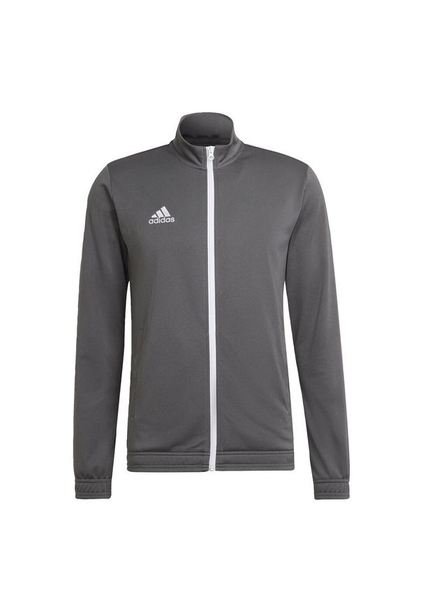 Adidas - Entrada 22 Track Jacket. Kolor: szary. Materiał: poliester, materiał. Sport: piłka nożna
