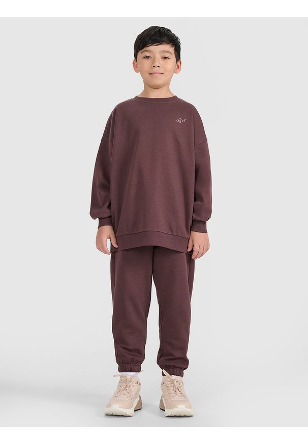 4f - 4F Komplet dresowy dziecięcy - brązowy 158/164 (12-14 lat). Okazja: na co dzień. Typ kołnierza: bez kaptura. Kolor: brązowy. Materiał: dresówka. Długość: długie. Wzór: ze splotem, gładki. Sezon: lato. Styl: młodzieżowy, casual, sportowy, klasyczny