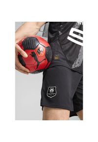 Puma - Męskie szorty Stade Rennais F.C. 24/25 PUMA Flat Dark Gray White Black. Kolor: biały, wielokolorowy, czarny, szary. Sport: piłka nożna