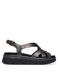 Sandały Pikolinos. Kolor: brązowy #1