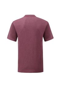 FRUIT OF THE LOOM - Męska Koszulka Valueweight. Kolor: czerwony, wielokolorowy, brązowy