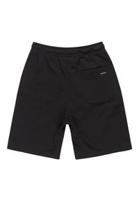 Quiksilver - Spodenki z elastyczną talią EASY DAY. Kolor: czarny, brązowy, zielony, wielokolorowy. Materiał: materiał, poliester, bawełna. Długość: krótkie. Sezon: lato