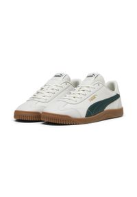 Puma - Sneakersy PUMA Club 5v5 PUMA Vapor Gray Dark Myrtle Gold Green. Kolor: zielony, wielokolorowy, szary. Materiał: materiał, skóra, syntetyk. Szerokość cholewki: normalna. Sport: turystyka piesza