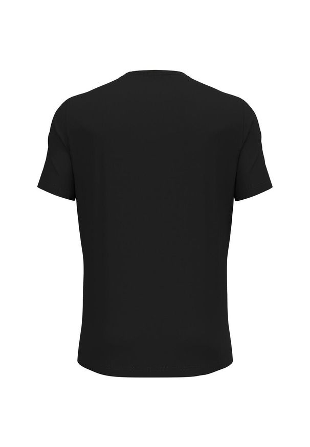 Odlo - Koszulka z krótkim rękawem męska ODLO F-Dry Ridgeline T-Shirt Crew Neck s/s. Kolor: wielokolorowy, czarny, szary. Długość rękawa: krótki rękaw. Długość: krótkie