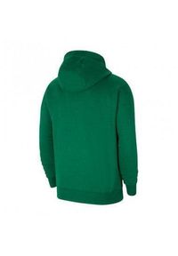 Bluza z kapturem Nike Park 20 Hoodie, Mężczyźni. Typ kołnierza: kaptur. Kolor: biały, zielony, wielokolorowy. Materiał: bawełna, materiał