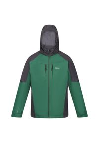 Regatta - Męska kurtka trekkingowa zimowa przeciwdeszczowa Calderdale. Kolor: zielony. Sezon: zima. Sport: turystyka piesza #1