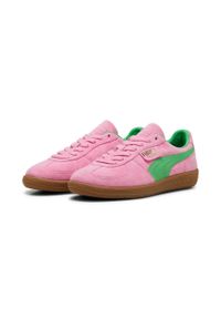 Puma Buty Palermo Special 39754901. Okazja: na co dzień. Kolor: różowy