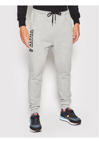 Alpha Industries Spodnie dresowe Basic 116368 Szary Regular Fit. Kolor: szary. Materiał: bawełna #1