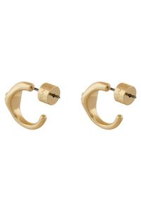 Coach Kolczyki 37541372 Złoty. Materiał: metalowe. Kolor: złoty #2