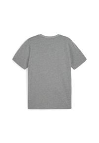 Polo Puma Teamgoal Casuals. Typ kołnierza: polo. Kolor: szary. Materiał: materiał