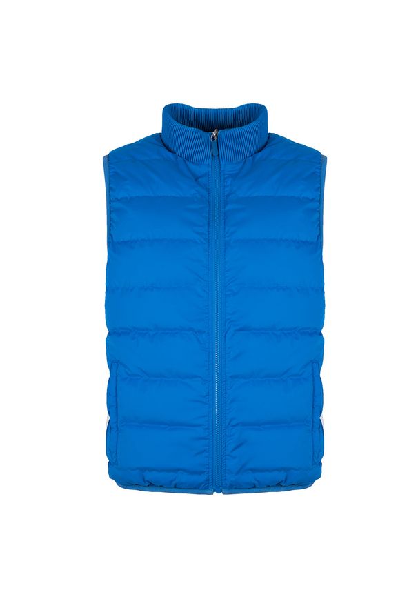 Bikkembergs Bezrękawnik "Two-Side" | C H 037 01 T 9473 | Mężczyzna | Czerwony, Niebieski. Okazja: na co dzień. Typ kołnierza: kołnierzyk stójkowy. Kolor: czerwony, niebieski, wielokolorowy. Materiał: poliester. Długość rękawa: bez rękawów. Wzór: nadruk. Styl: casual