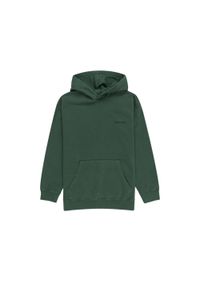 Bluza sportowa chłopięca Element Cornell 3.0. Kolor: zielony. Materiał: bawełna