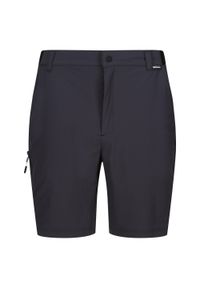 Regatta - Spodenki Męskie Travel Light Packaway. Kolor: szary, wielokolorowy, fioletowy. Sport: turystyka piesza #1