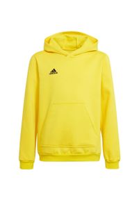 Adidas - Bluza piłkarska dla dzieci adidas Entrada 22 Hoody. Kolor: żółty, wielokolorowy, czarny. Sport: piłka nożna