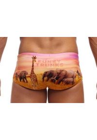 FUNKY TRUNKS - Trunki męskie Funky Trunks Circle Of Life - sidewinder. Kolor: wielokolorowy
