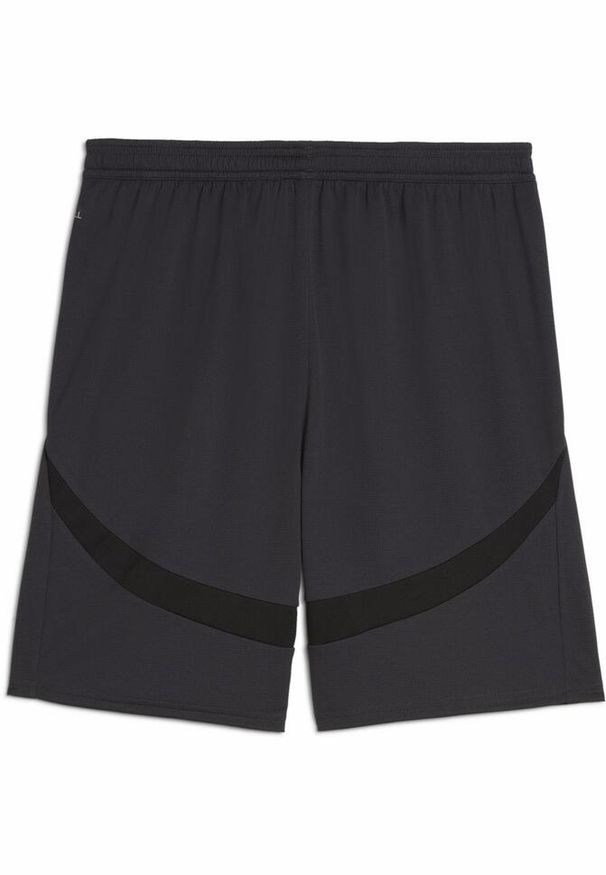 Puma - Męskie szorty Stade Rennais F.C. 24/25 PUMA Flat Dark Gray White Black. Kolor: biały, wielokolorowy, czarny, szary. Sport: piłka nożna
