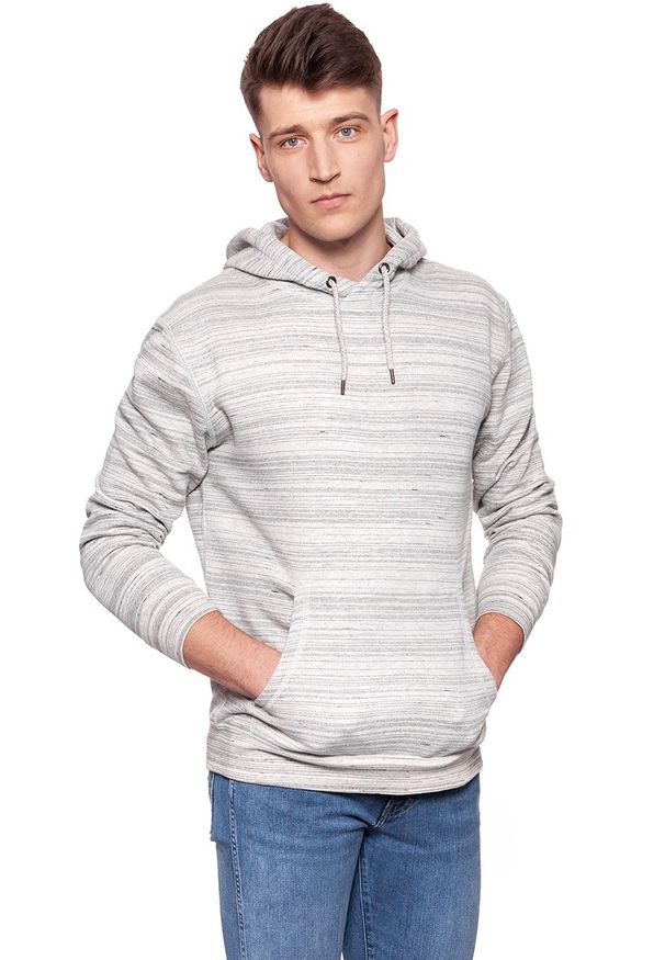 Lee - BLUZA MĘSKA LEE HOODIE GREY MELE L81XHH37. Kolor: szary. Wzór: paski