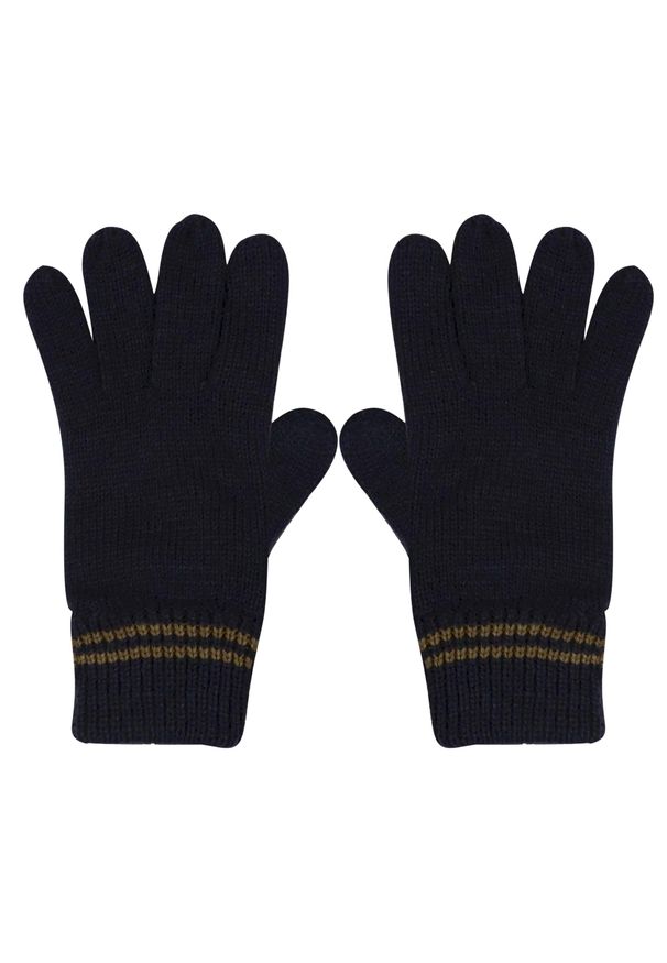 Regatta - Męskie Rękawiczki Balton III. Kolor: niebieski. Sport: turystyka piesza