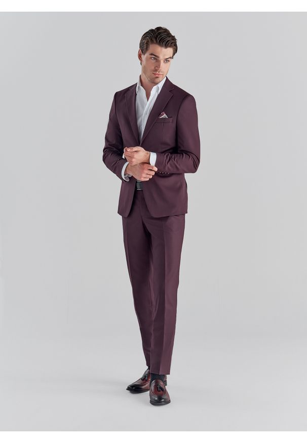 Pako Lorente - PAKO LORENTE – Bordowe spodnie garniturowe P22SF-6G-016-D-S. Kolor: czerwony. Materiał: poliester, elastan, wiskoza. Wzór: gładki. Styl: elegancki