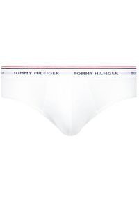 TOMMY HILFIGER - Tommy Hilfiger Komplet 3 par slipów 1U87903766 Kolorowy. Materiał: bawełna. Wzór: kolorowy #2