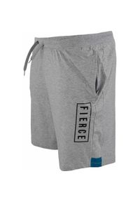 ZFOAM - Męskie szorty ATH-DPT Sigfrid, 100% bawełna. Kolor: szary, fioletowy, niebieski, wielokolorowy. Materiał: bawełna. Sport: fitness #1