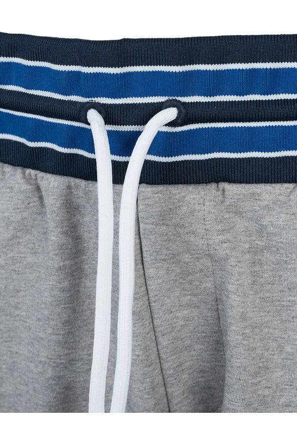 Bikkembergs Szorty | C 1 27B H2 E B090 | Mężczyzna | Szary. Okazja: na co dzień. Kolor: szary. Materiał: bawełna, elastan. Wzór: nadruk. Styl: casual