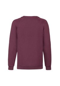 FRUIT OF THE LOOM - Bluza Dziecięca Classic Raglan. Kolor: czerwony, wielokolorowy, brązowy. Długość rękawa: raglanowy rękaw